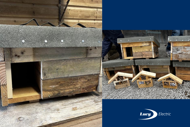 Hedgehog House CSR activity